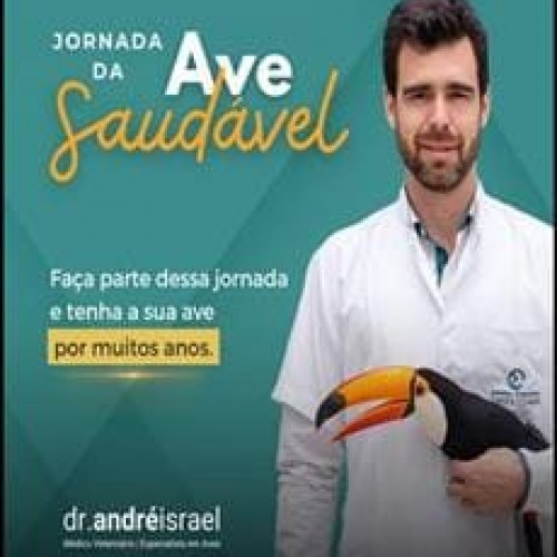 Jornada da Ave Saudável - Andre Israel